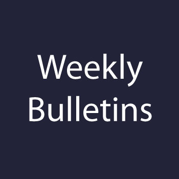 Our weekly bulletin of what is happening