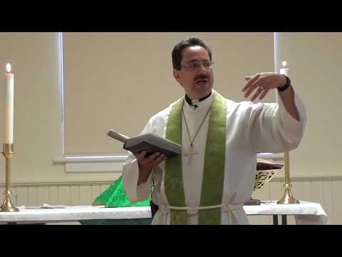 Sermon for Pentecost 9, " Having the Compassion of Christ"